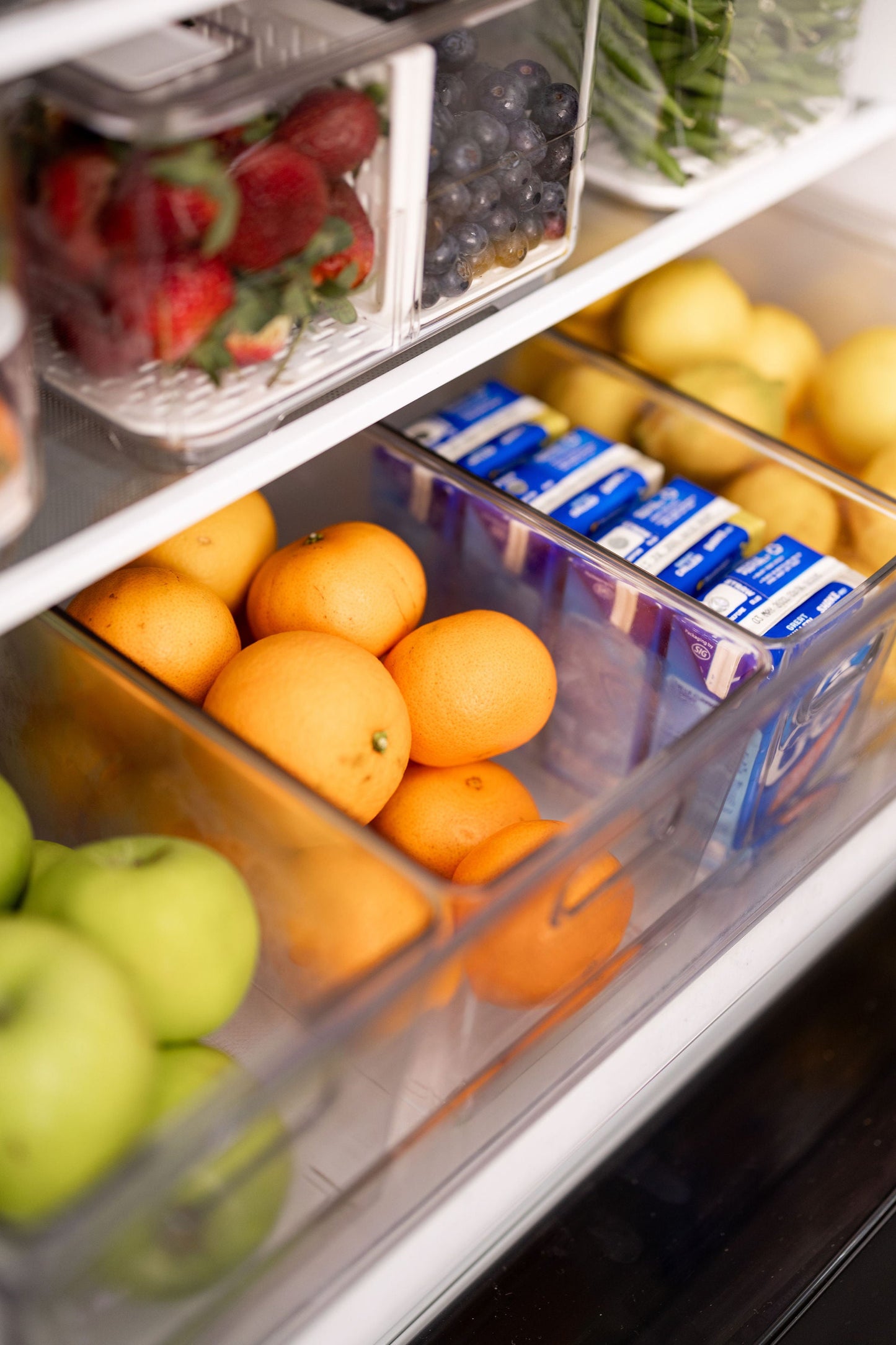 Fridge Fresh Keeper Storage Pack