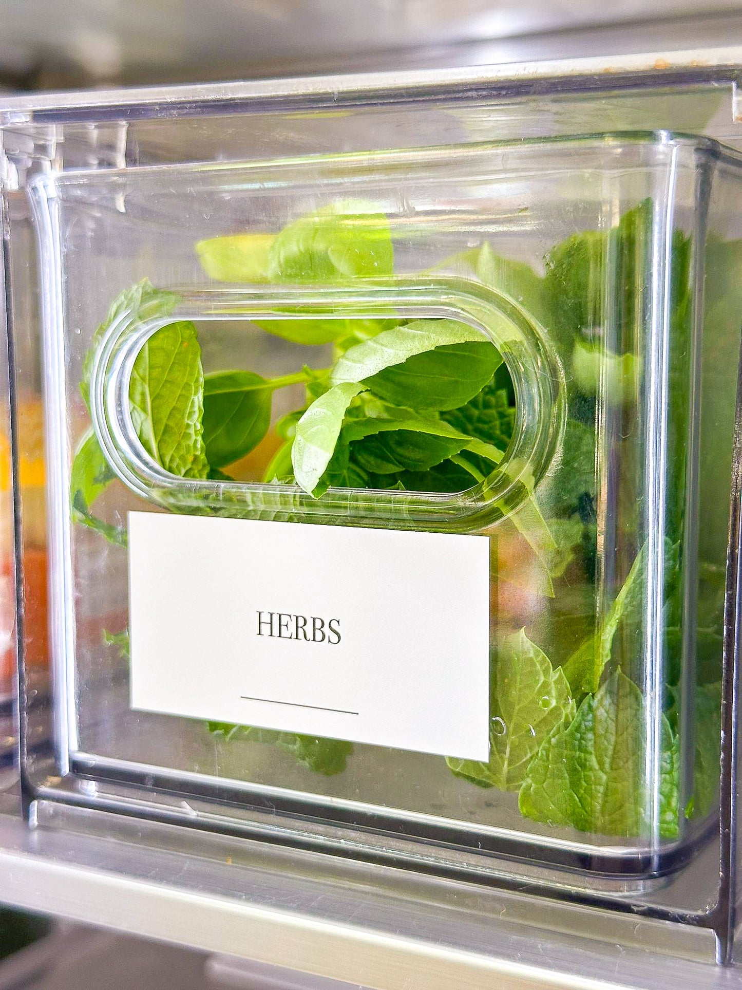 Fridge & Freezer Organisation Stickers - 36 Label Pack