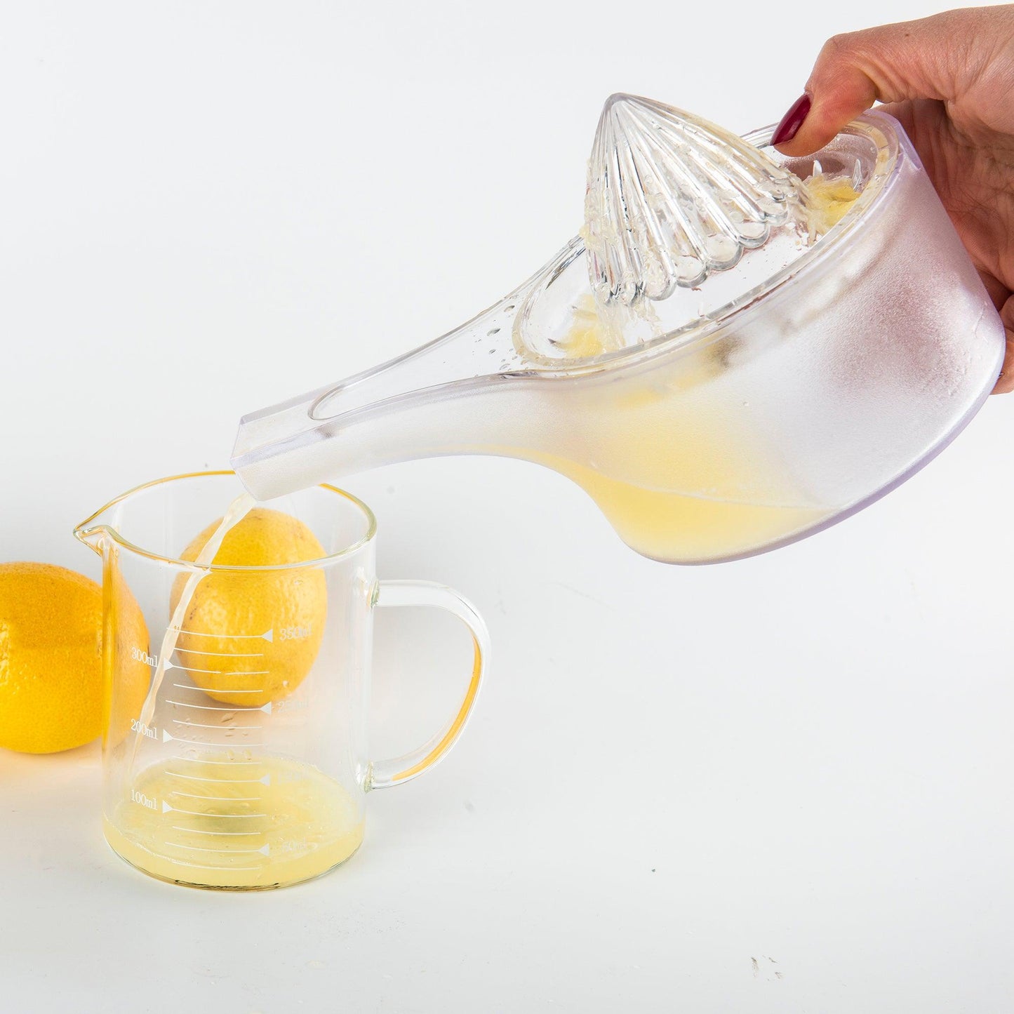 Lemon Juicer - Little Label Co - Kitchen Tools & Utensils -