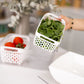 Fridge Storage Container with Basket (Double)