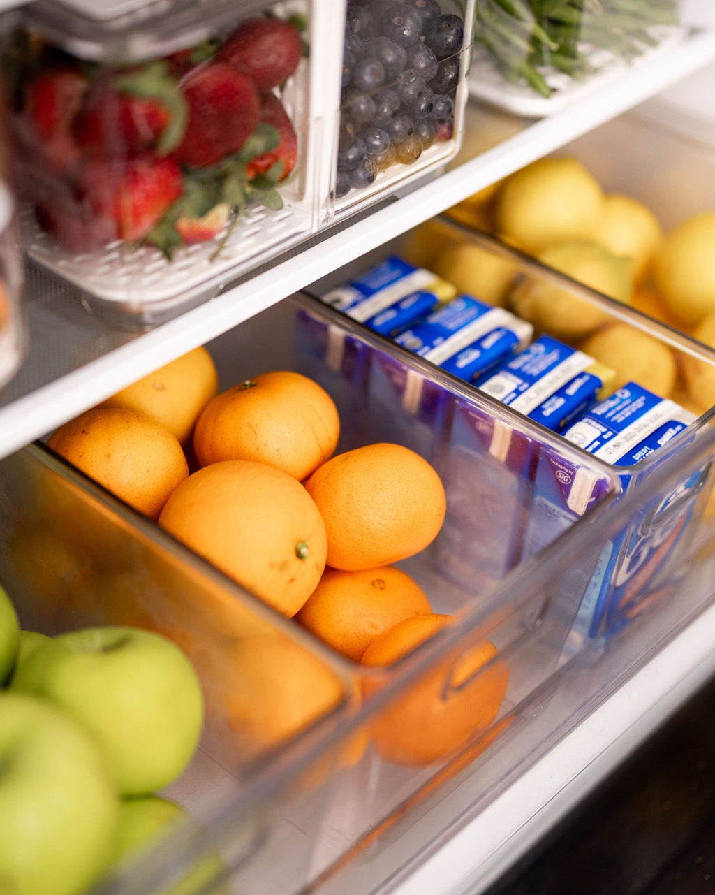 Clear Storage Tub Medium