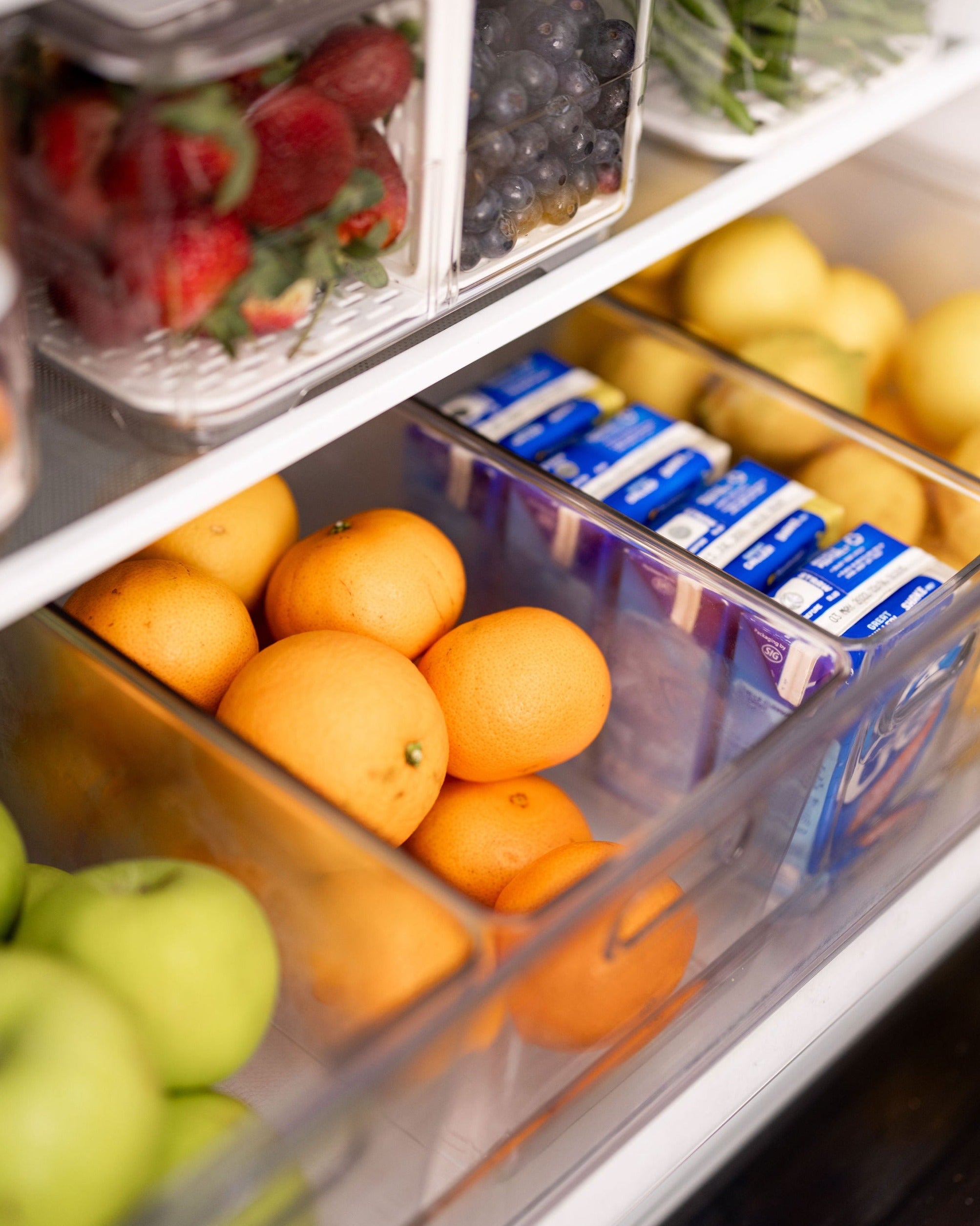 Clear Storage Tub Medium