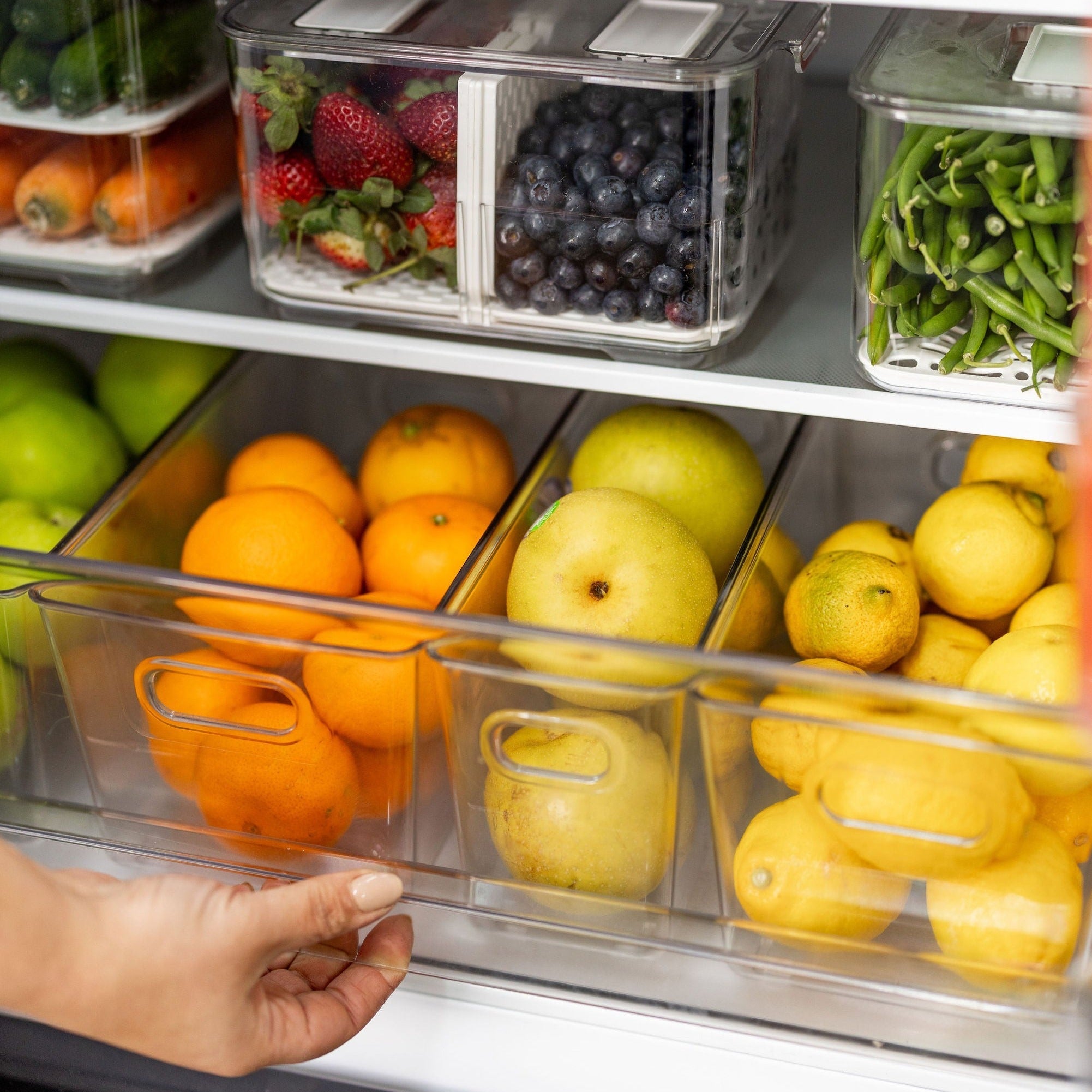 Clear Storage Tub Medium