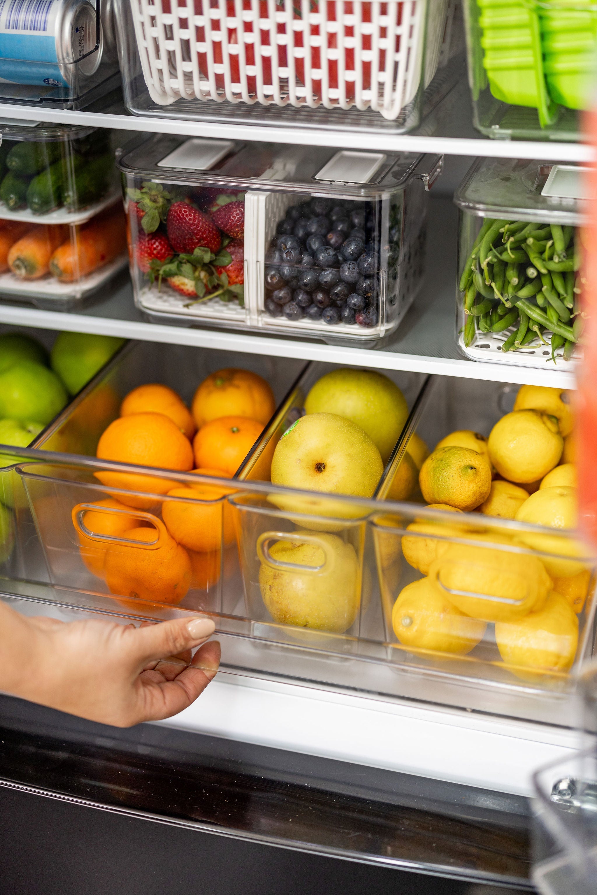 Essential Fridge Storage Pack