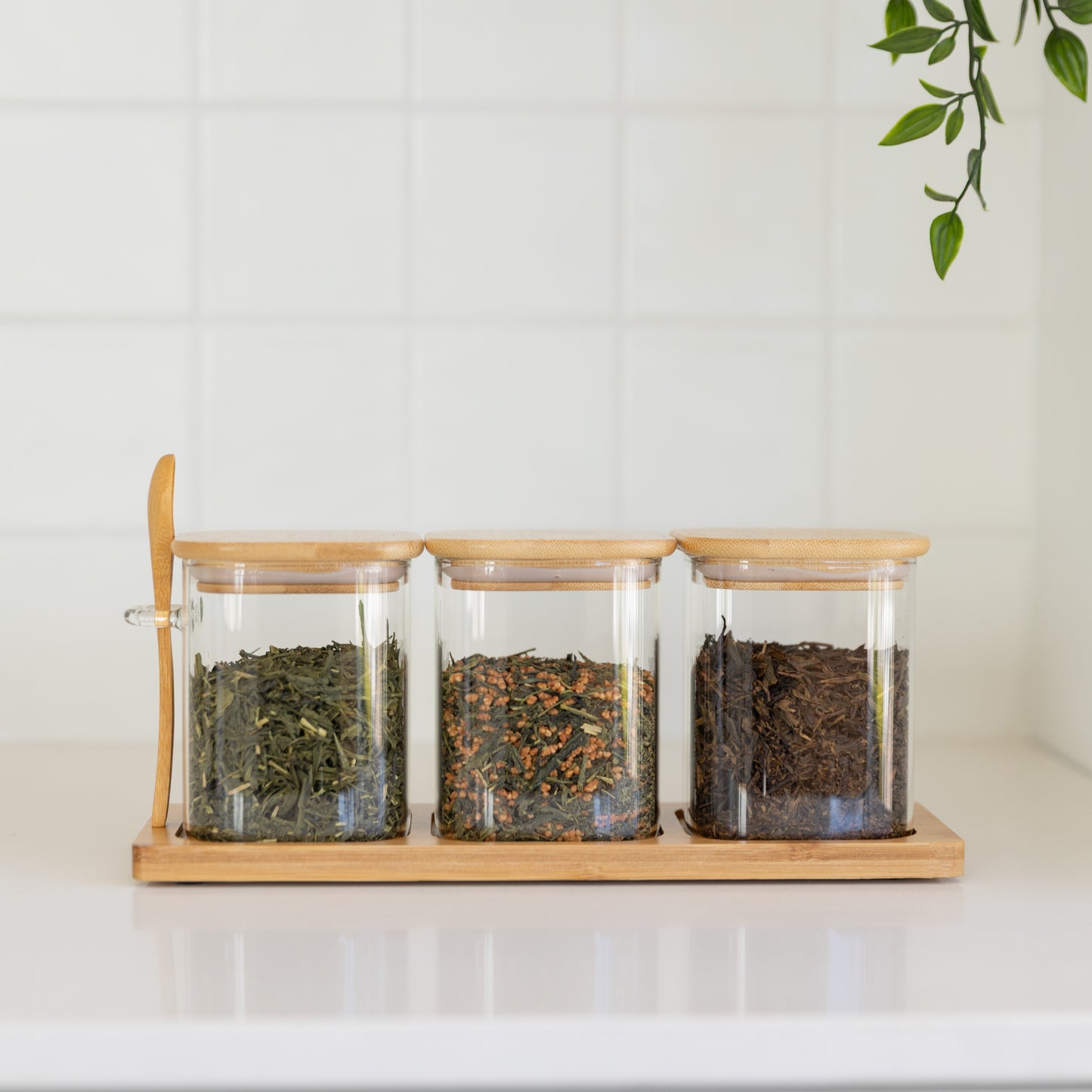 Tea Essentials Set;  Bamboo Glass Trio + Premium Australian Green Teas