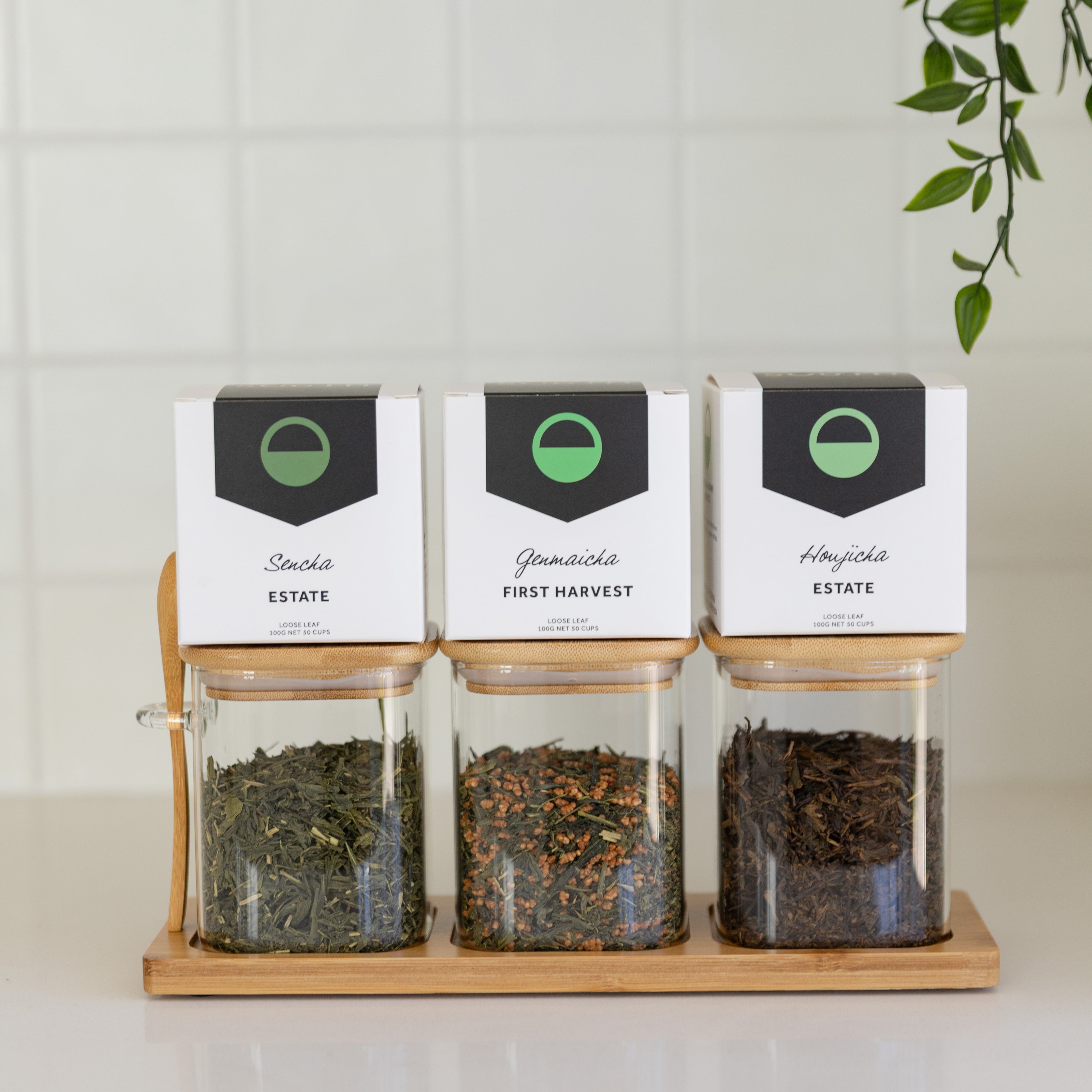Tea Essentials Set;  Bamboo Glass Trio + Premium Australian Green Teas