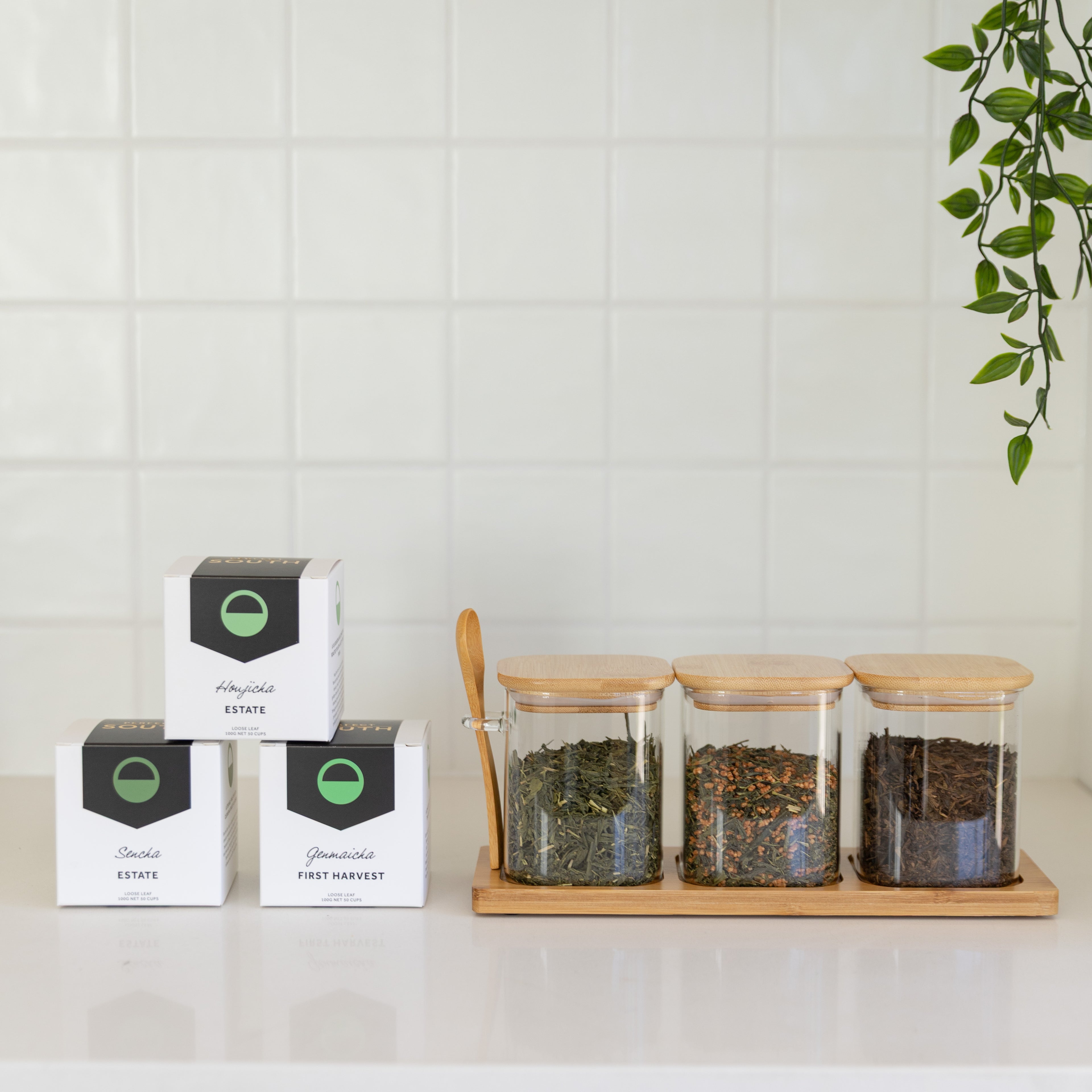 Tea Essentials Set;  Bamboo Glass Trio + Premium Australian Green Teas
