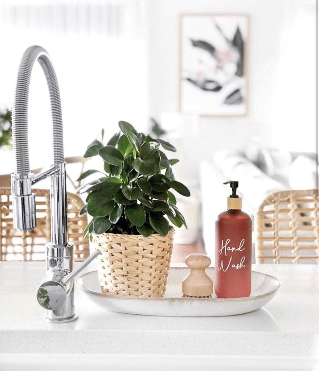 Brown Plastic Pump Bottle 500ml - Little Label Co - Kitchen Tools & Utensils - 20%, Catchoftheday