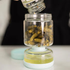 Glass Pickle Jar (3 Pack)